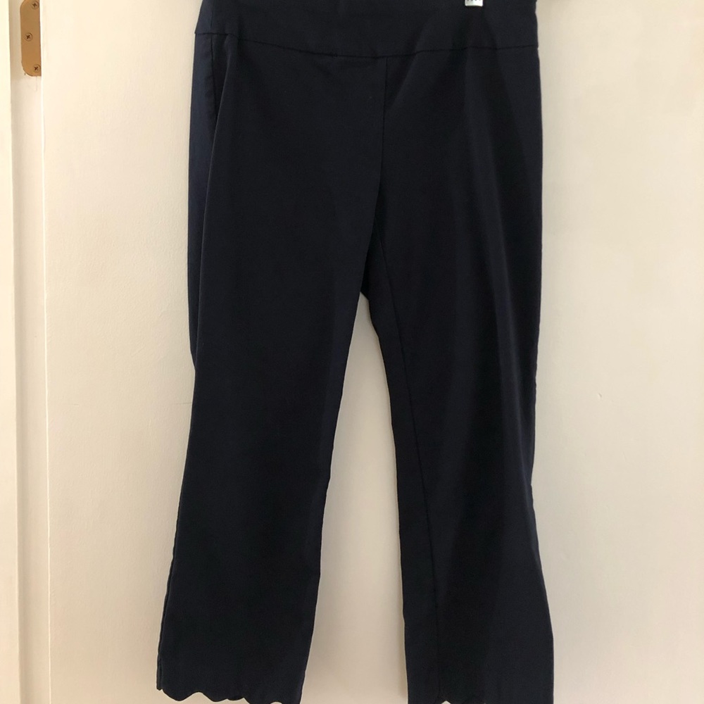 Van Heusen Business Casual Stretch Capris, Size 2